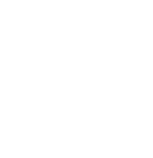 STS Firearms Logo